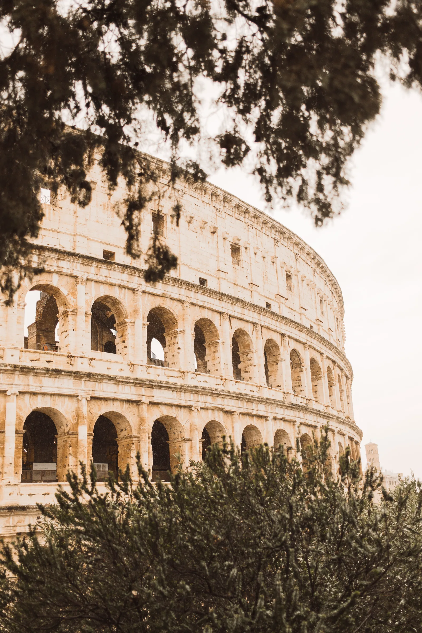 O Coliseu visto entre árvores, em Roma