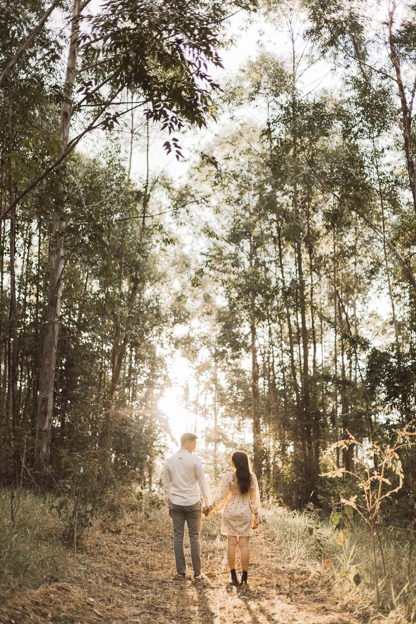 Fabiola e Lucas - ensaio pré casamento · Fazenda Floresta, Campinas — foto 47
