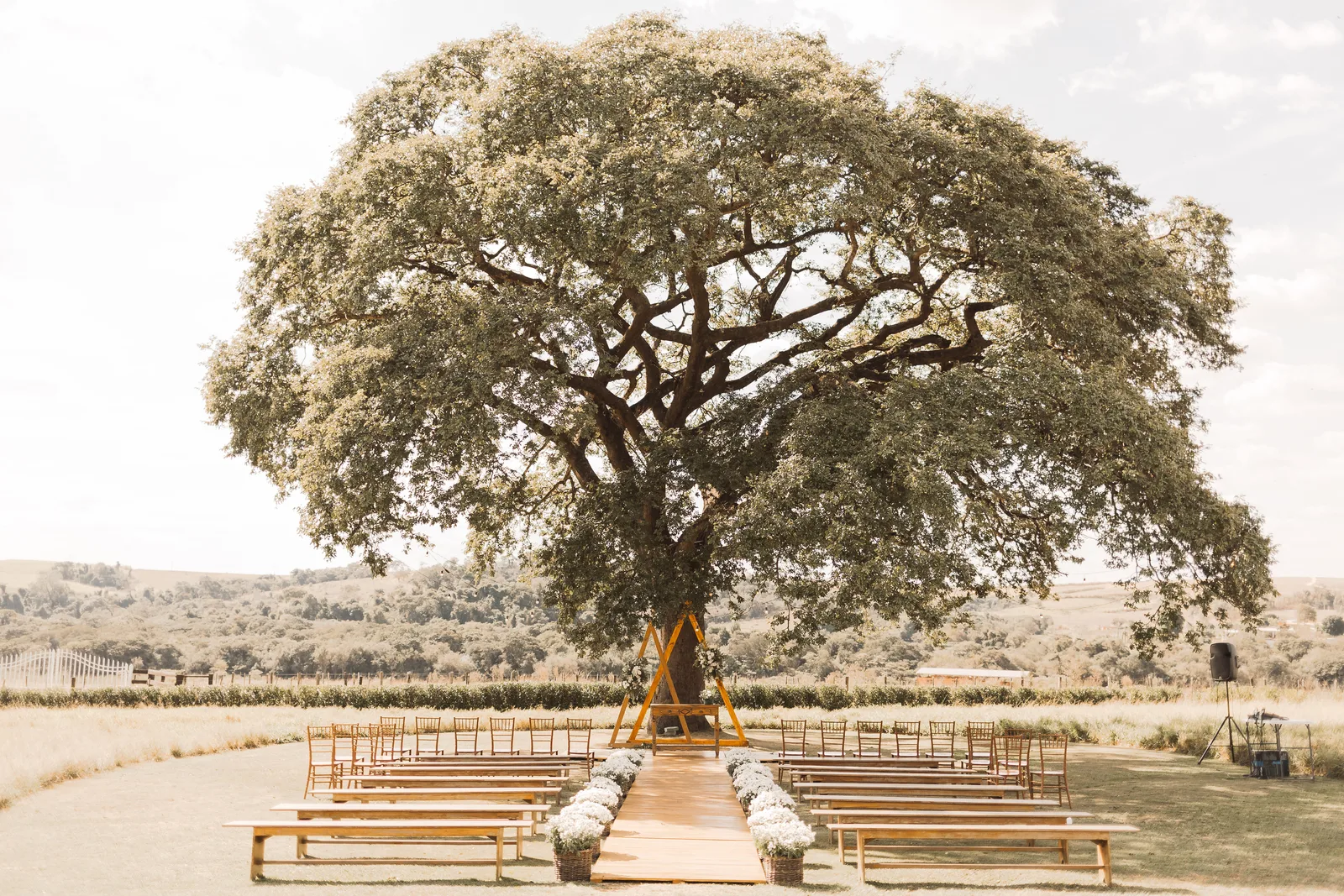 Casamento de Fabiana & Lucas · Fazenda Casa Branca, Indaiatuba — foto 6
